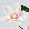 FM001112-048 }OmApt@ MAGIQ() 20747224
