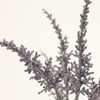 FM002602-011 J~[AX`x MAGIQ() 20748055