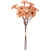 FM005629-013 ~lbgf[W[sbN MAGIQ() 20748825