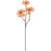 FM005629-013 ~lbgf[W[sbN MAGIQ() 20748825