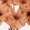 FM005629-013 ~lbgf[W[sbN MAGIQ() 20748825