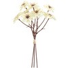 FM005629-037 ~lbgf[W[sbN MAGIQ() 20748834