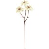 FM005629-037 ~lbgf[W[sbN MAGIQ() 20748834
