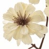 FM005629-037 ~lbgf[W[sbN MAGIQ() 20748834