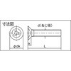 B113-0308 トライウイング皿頭小ねじ(ステンレス) TRUSCO 20784496