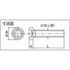 B101-0308 三角穴ボタンボルト(ステンレス) TRUSCO 20785056