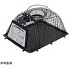 コンパル ネズミ捕り器 アサノヤ産業