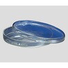 ペトリ皿 PYREX(パイレックス)
