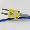 IP10K-0.25-100C xZT AY 20901308