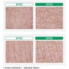 21352 CX ێ~N ێXLPAt APA 20923877