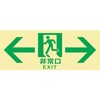 20937369