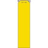 20946365