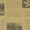 包装紙 ファンシー・バラエティ柄 半才 ササガワ
