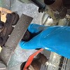21022645,21022654,21022663