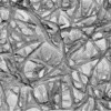 21204805,21204814,21204830