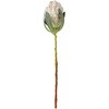FM007353-037 t@rXveA MAGIQ() 21223854