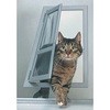 ペット～る パッセージ 通り道(編戸)用 ユニフロー