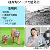 10730 ナイロン面相筆 アーテック[学校教材・教育玩具] 21269352