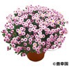 - yczK[f~I} LK 21371606