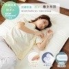 84220208 敷き布団 抗菌・防臭・防ダニ ナイスデイ 21405328