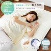 84220308 敷き布団 抗菌・防臭・防ダニ ナイスデイ 21405337