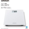 HN-300T2-JW ̏dv IwXPA 21417788