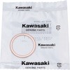 11009-1866 KXPbg GL][XgpCv 11009-1866 Kawasaki 21430054