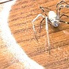 - 凍殺ジェット フマキラー 21445998
