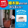 - コバエがいなくなるスプレー 駆除・発生予防 金鳥(KINCHO) 21446120