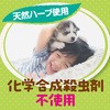 4901080219015 i`X VRn[ũSLu悯 A[X 21820627