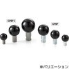 GPBF-10 vXeBbN{[]Obv(߂˂) NBK(牮oCebN) 22101607