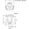 PTBLS-6-5 {[bNs - Xg[N^Cv NBK(牮oCebN) 22113848