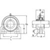 43168895,43168913,43168956,43168974,43168992,43169017