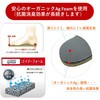 CF20L C̒~ fB[XRtH[g2 AV} 22351588
