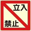 22590338