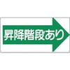22590505
