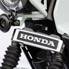 208-3105 GuXe[ HONDAGu KIJIMA(LW}) 23194887