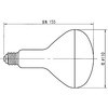 RF100V180W 屋内投光用アイランプ 岩崎電気 23197195