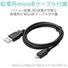 AD-HDCV02 HDMIコンバーター HDMI-RCA(コンポジット) 給電用ケーブル付 エレコム 23596308