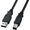 USBケーブル B-A フェライトコア ノイズ吸収 ブラック エレコム USB 