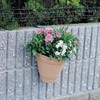 壁掛けポット