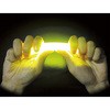 E00545~12 ~JCgMA[N~12{ ~J 24165252