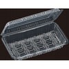 �咷(13)PP �ϔM�t�[�h�p�b�N �G�t�s�R 24419509