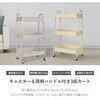 HL-A03-WH t3iS LX^[t ω׏d22.5kg SIS 24500020