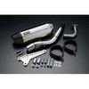 G165-64-000 CORSA-EV02 XeX PCX125 2014`EBJ-JF56 BEAMS(r[X) 24723004