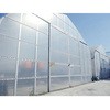 花野果蒼天 SUN-X 住化積水フィルム