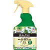 観葉植物 虫