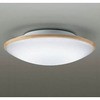 DXL-81066 LED�����ցE���^�V�[�����O���C�g DAIKO(����d�@) 24892412