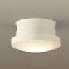 DXL-81080B LED�����ցE���^�V�[�����O���C�g DAIKO(����d�@) 24892428
