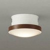 DXL-81081B LED�����ցE���^�V�[�����O���C�g DAIKO(����d�@) 24892437